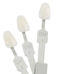 Diamond (Signature) Zirconia Puck - 12mm - Box of 1 each